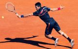 novak-djokovic-2014-wallpaper_fond-ecran
