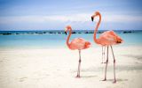plage-wallpaper-widescreen-hd-wallpapers