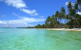sous-les-tropiques-plage-et-soleil
