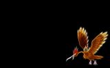 fearow-pokemon-wallpaper-free-download