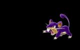 ratatta-pokemon-wallpaper-free-download