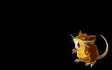raticate-pokemon-wallpaper-free-download