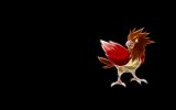 spearow-pokemon-wallpaper-free-download