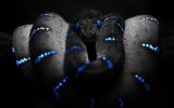 serpent-fonds-d-ecran-effets-lumiere-et-retouche-photo_05