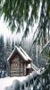 smartphone-and-iphone-5-wallpapers_02