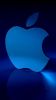 smartphone-and-iphone-5-wallpapers_08