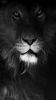 smartphone-galaxy-iphone-6-wallpapers_04
