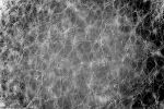 art-moderne_exposotion-en-ligne_4