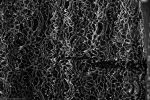dentelle-et-fonds-ecran_1