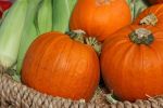 halloween-wallpaper_free-to-download_05
