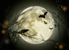 halloween-wallpaper_free-to-download_12