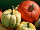halloween-wallpaper_free-to-download_15