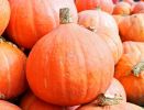 halloween-wallpaper_free-to-download_16