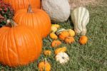 halloween-wallpaper_free-to-download_18