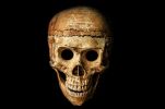 la-mort_halloween-wallpaper_free-to-download_19