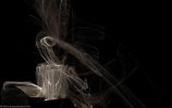 fonds-ecran-apophysis-creation-2D_1