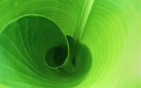 verdure-wallpaper-HD