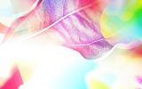 windows_fonds-ecran-HD_feuilles_4