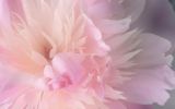 windows_wallpaper-free-to-download_4
