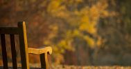 arrivee-automne_calme-et-repos