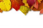 automne-montages-photos-avec-des-feuilles_2