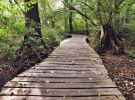 automne-paysage_wallpapers-free_1
