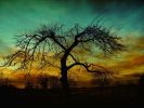 automne-paysage_wallpapers-free_4