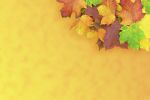 feuilles-automne_wallpapers-free_4