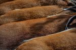 pendant-la-sieste_photo-de-groupe