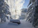 le-monde-en-hiver_lac-aux-US