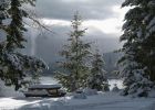 photos-hiver-HD_make-a-wallpaper-for-free_sapins