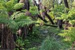 afrique-wallpaper-amazing-2000-pixels_1