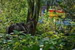paysage-de-chine-grand-format-hd_3