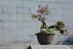 photographie-paysage-de-chine-grand-format-widescreen_1