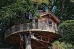 une-cabane-dans-les-arbres-photo-de-la-chine_2