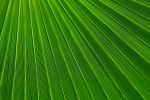 fonds-ecran-toutes-les-couleurs_1