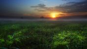 windows-10-wallpapers-for-free_2