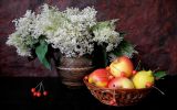 HQ-fleurs-et-nature-desktop-wallpapers-free-to-download_1