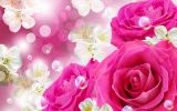 le-dire-avec-des-fleurs-cadeau-HQ