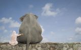 animitie-humains-et-animaux_graphisme