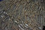 concretions-rocheuses