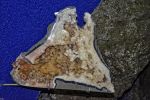 gemmologie-exposition-de-cristaux-en-ligne_2