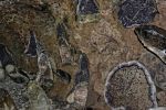 gemmologie-exposition-de-cristaux-en-ligne_7