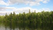 arbres-et-foret_nature-verte_1