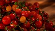 cerises_bien-manger-avec-appetit_05