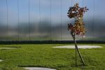 le-louvre-lens_promenade-dans-la-verdure_01