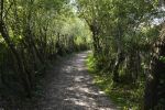 parc-du-marquenterre_promenade-dans-la-verdure_15