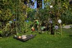 promenade-dans-la-verdure_11