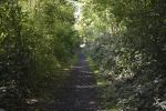 sur-le-terril_promenade-dans-la-verdure_02