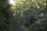 sur-un-terril_promenade-dans-la-verdure_03